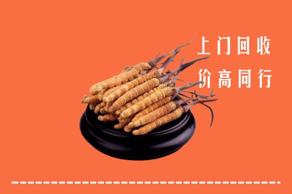 收购行情：马鞍山回收散虫草